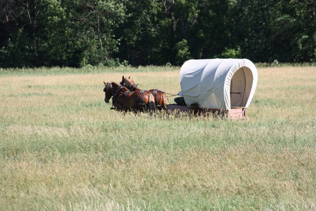 Covered wagon and horses